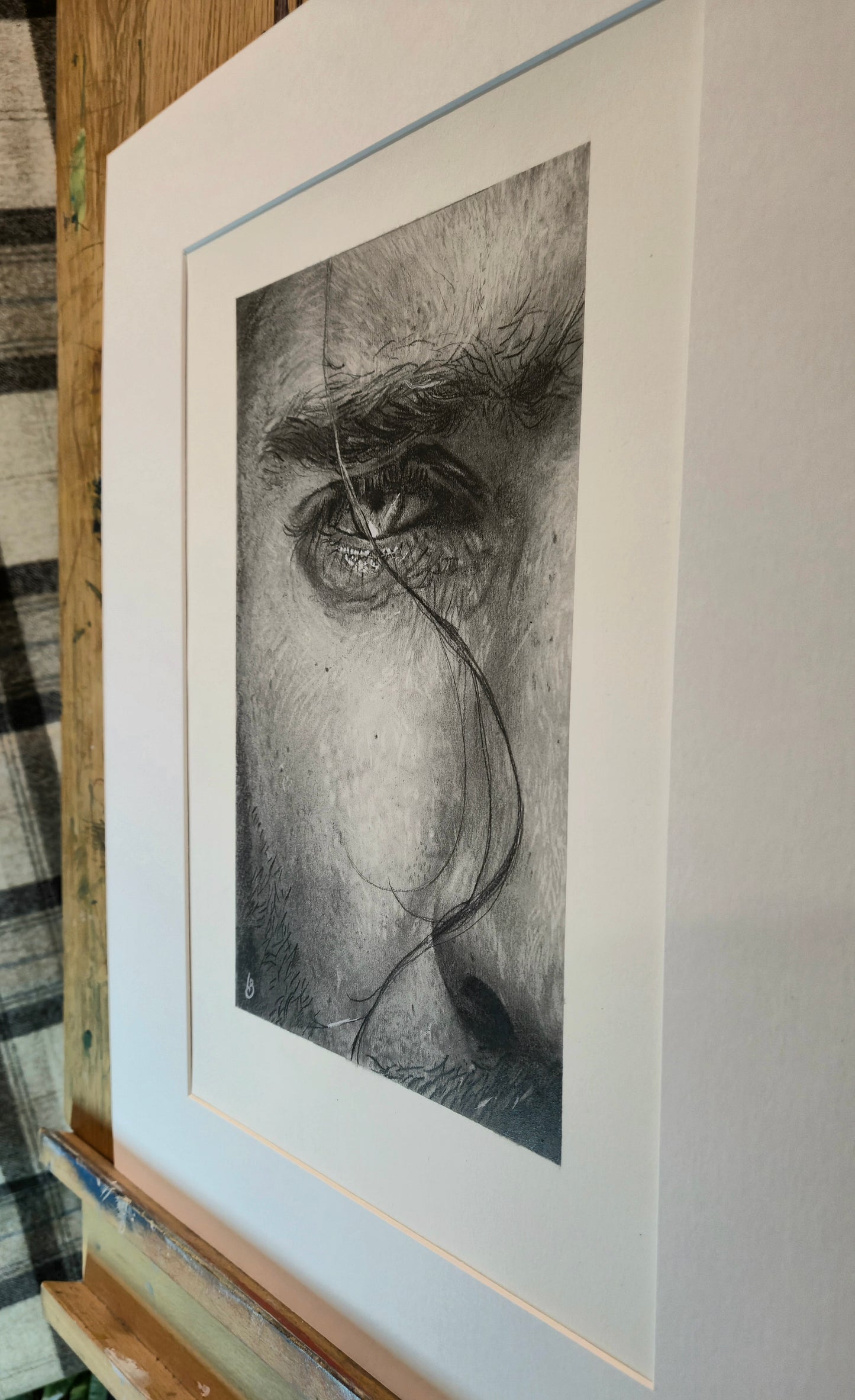 'St Joseph Close Up Study'