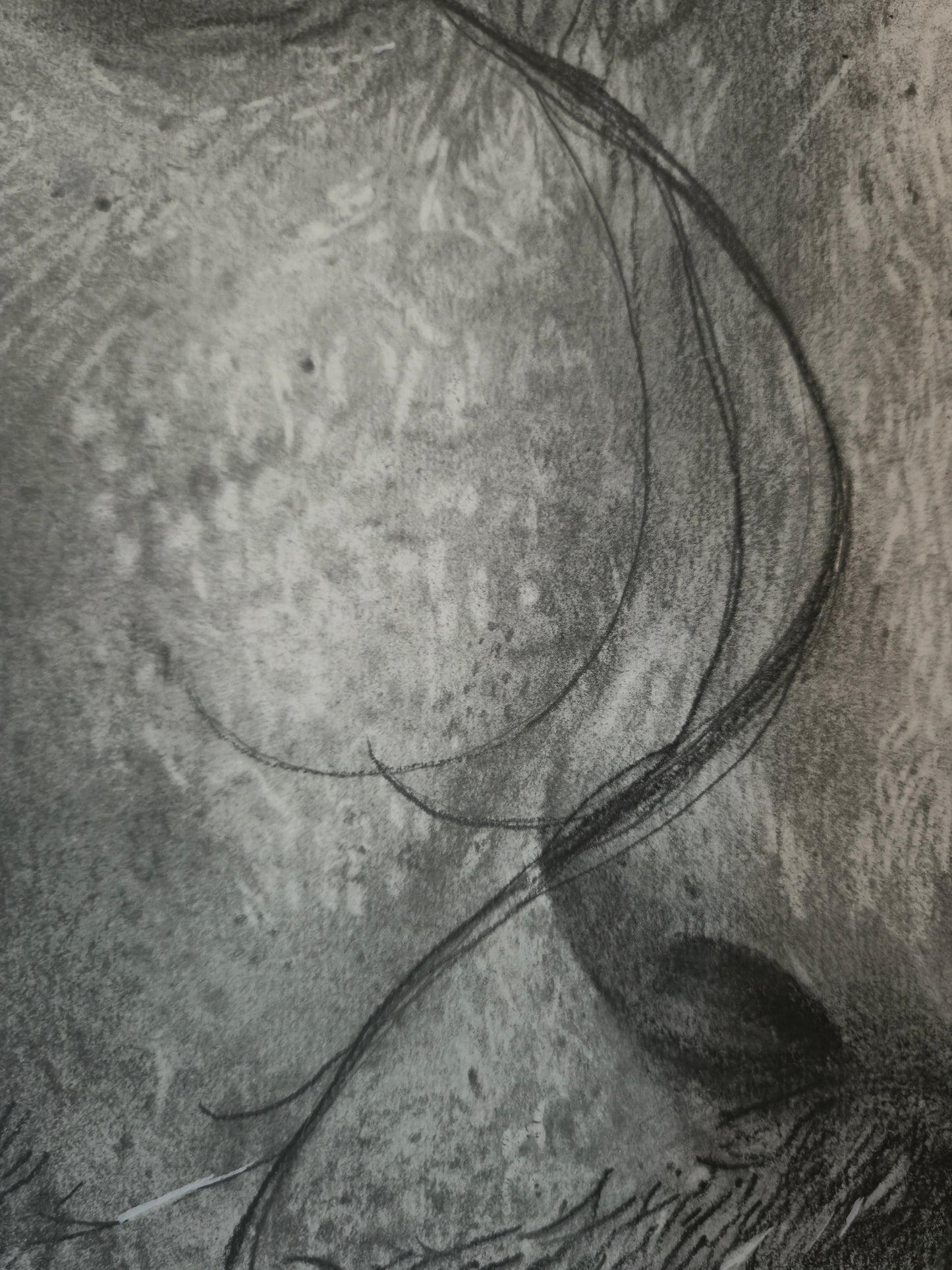 'St Joseph Close Up Study'