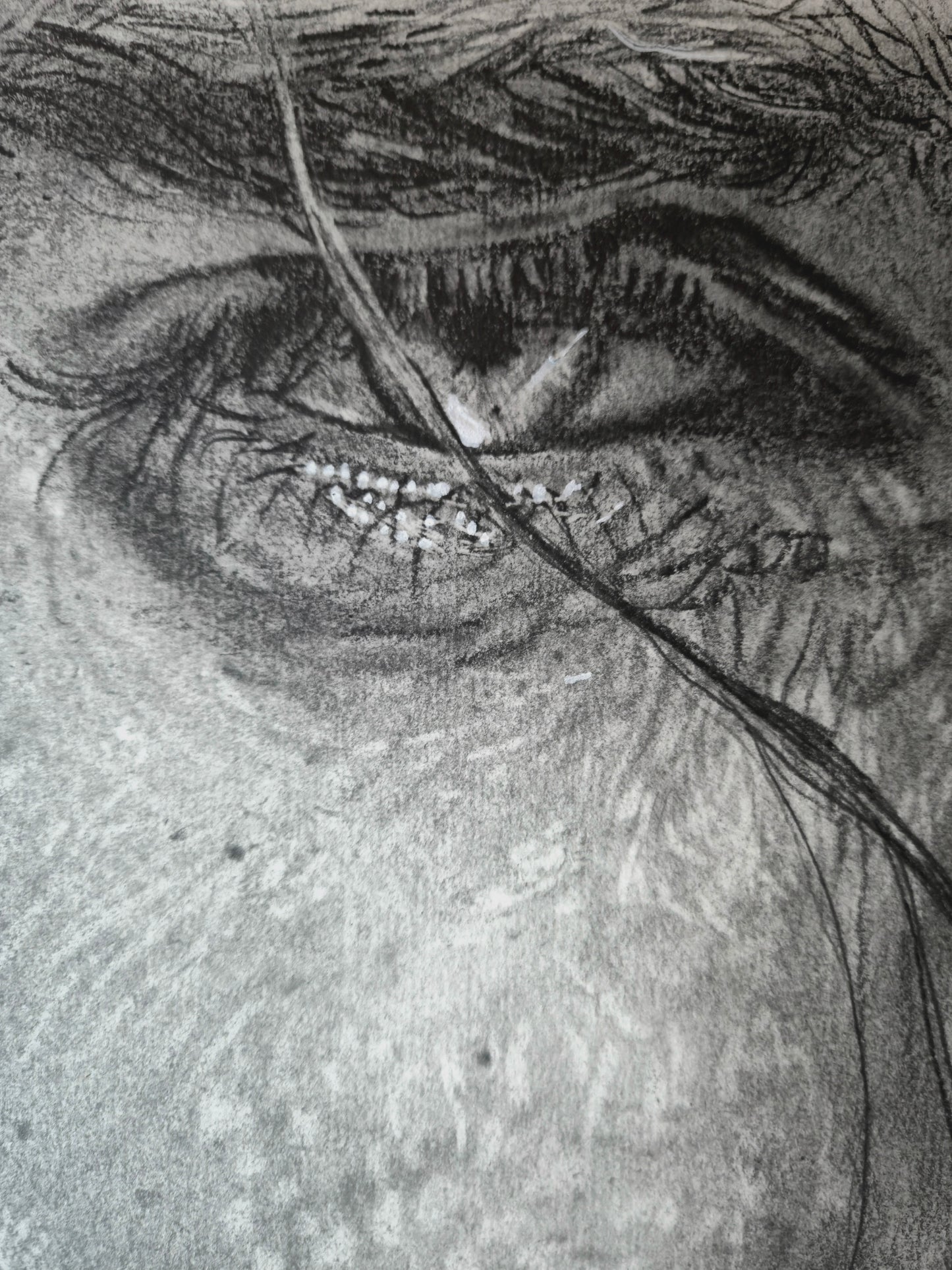 'St Joseph Close Up Study'